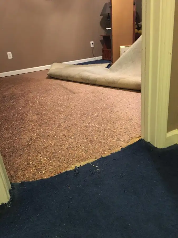 Carpet pad removal revealing water damage during Water Mitigation Services in Oakmont