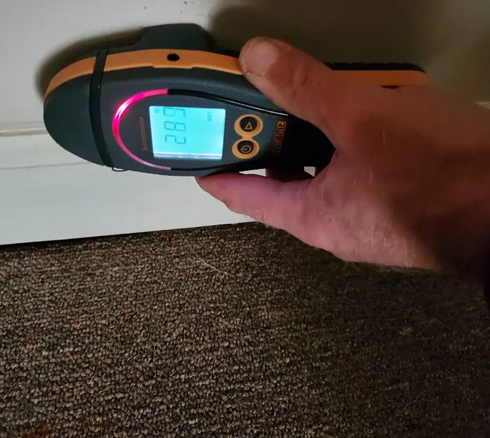Moisture detection at baseboard during Mold Inspection & Testing in Oakmont