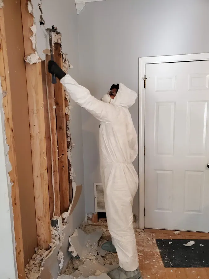 Emergency Water Damage Services in Oakmont, PA